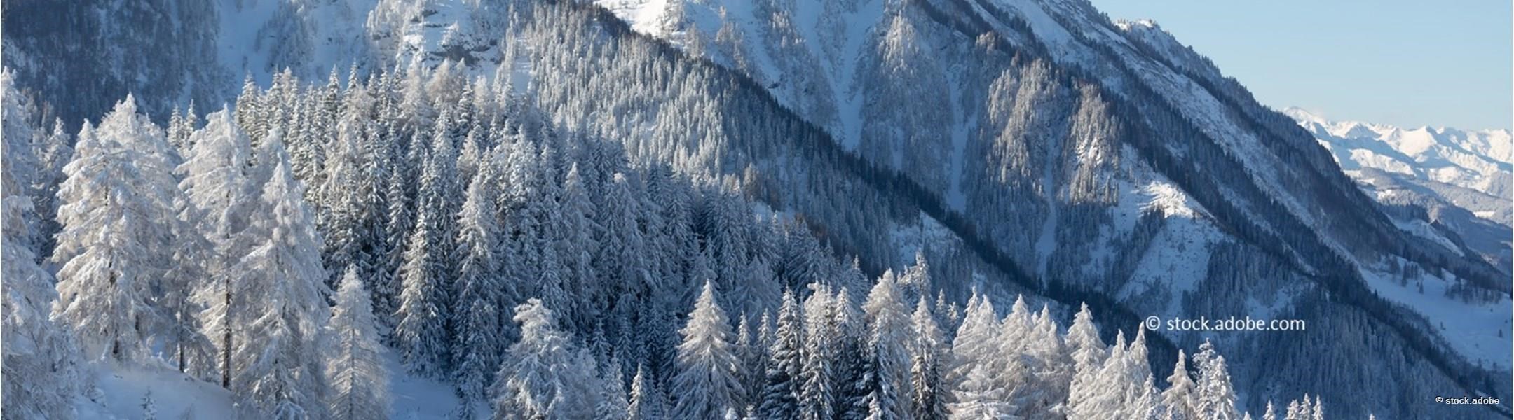 Winter Wonderland in Österreich
