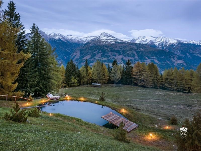 Ausblick zum Naturbadeteich mit alpinem Panorama