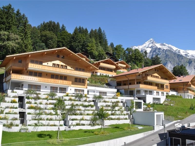 Chaletsuiten Grindelwald