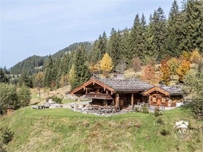 Mountain Chalet Westendorf