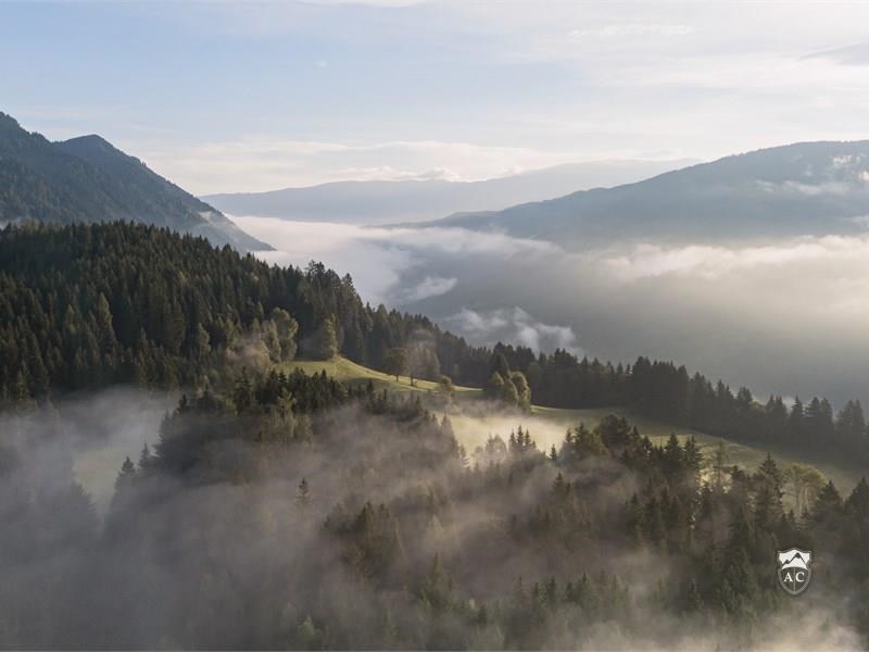 Droneshot Des Grundstücks