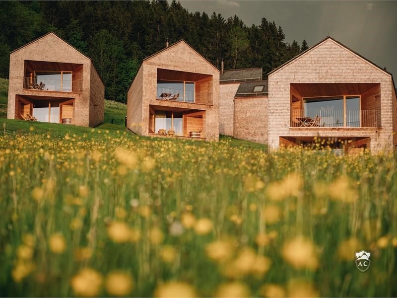 Design Chalets Im Sommer