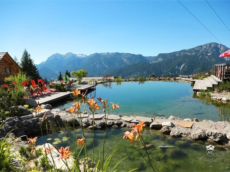 Naturbadeteich Mit Alpenpanorama