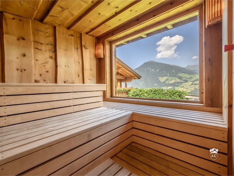 Panorama-Sauna im Garten