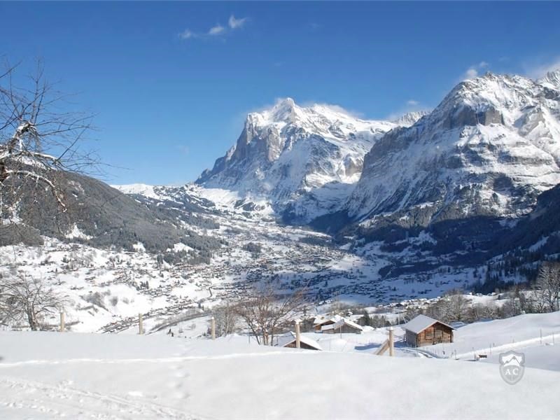 Ausblick über das Tal von Grindelwald