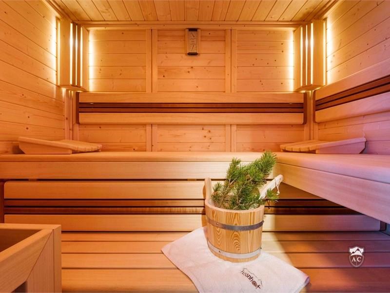 Sauna im Luxusapartment_Apt Berg