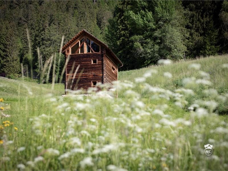 Wellnesschalet Antholzertal Im Sommer